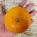 순연농장 이미지