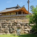 논산시 상월면 주곡리 경로당 | 논산 백일헌 종택(이삼장군 종택). 돈암서원 배롱나무 (2025. 8. 1. 금)