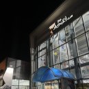 스파이더실내암벽클라이밍