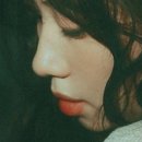 다이아나 이미지