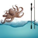 로드 572 이미지