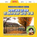 본1리 마을회관 | 청양 여행 남양면 금정 1리 마을 은행나무와 금정 우물
