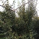 청구농장 이미지