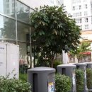 고운동_고운동(마음로) 이미지