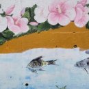 지엠식자재마트 이미지