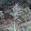 꽃향기머무는집 이미지