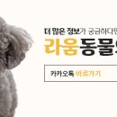 24시 라움동물의료센터 이미지