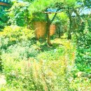 네이쳐 뮤직(Nature music) 이미지