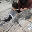 김지영음악학원 이미지