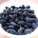 원창농장 이미지