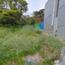 가거도 태양 이미지