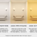 진성리폼