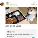 미성국수