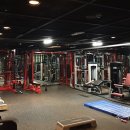 영스포렉스 이미지