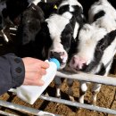 미소플레이스 이미지