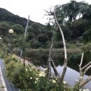 연곡호수펜션 이미지