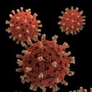 (주)코미팜 이미지