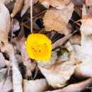 냉천공원 이미지