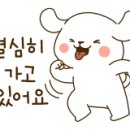 판교초교 이미지