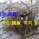 작소 이미지