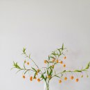 요가킹 - 증평군 광장로 26 | 요가킹