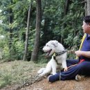 팅커벨하우스 이미지