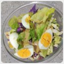 온잇독 | 유디트 잇오프 식욕억제 다이어트 스타트