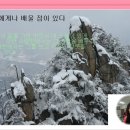 꾸미 이미지
