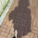 컴포즈커피고양행신점 이미지