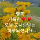 정광사수퍼