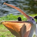 그대들은 어떻게 살것인가 이미지