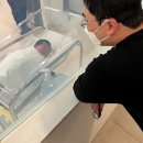 (주)아산가스 | 천안아산 삼성미즈병원 제왕절개 5박6일 입원 후기/비용