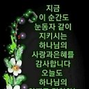 STORY IN 티스토리
