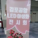 곽화숙수공예연구소