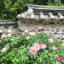 청운문학도서관 이미지