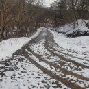 연우농원 이미지