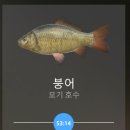 엔퍼치가