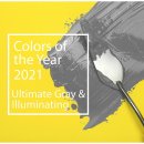 Pantone Color of the Year 2021 / Palette Exploration | Pantone 이미지