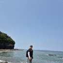 변산 티스토리