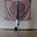 오르아요가 이미지