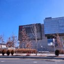 UR(상주시)-[상산로]-상-8 | 1월 중순 일기 대전댁의 야무진 새해 먹부림 기록