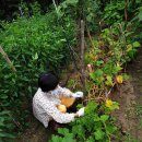 가평푸른숲요양병원 이미지