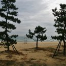 남애초등학교 이미지