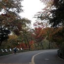 남산 산책로 이미지