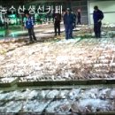 [목포 남도농수산 생선카페] 목포수협 생선어판장 모습. 이미지