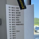 원픽플라워 이미지