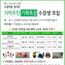 꿈다방