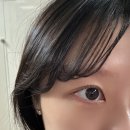 GS더프레시마곡점(발산) | [마곡속눈썹펌] 메리데이 속눈썹펌 블랙 젤리 속눈썹펌 후기