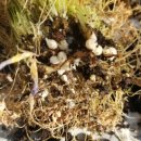 지노포트 이미지