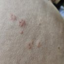 서울산부인과 이미지